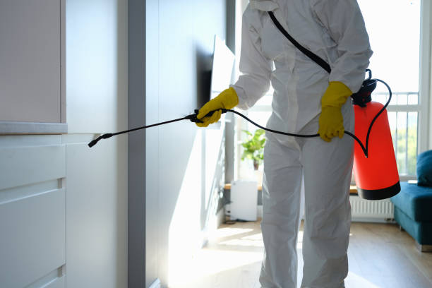 Best Professional Mold Removal  in Crystal Lake, IL